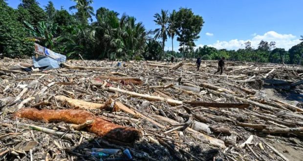 ইন্দোনেশিয়ায় ভয়াবহ বন্যা ও ভূমিধসে প্রাণহানি বেড়ে ৪৪২
