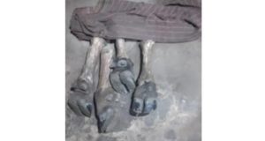 চাঁদপুর