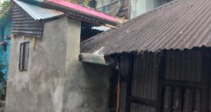 বাস ট্রাকের মুখোমুখি সংঘর্ষ