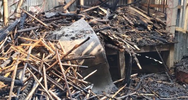 প্রবাসীর