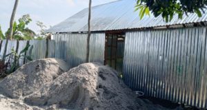 ধানের শীষ