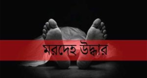 ধানের শীষ