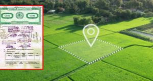 প্রতিদিন মৃত্যু আতংকে ঘুমাতে যায় ভাই-বোন