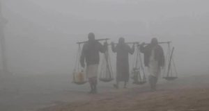 কুয়াশার দাপট