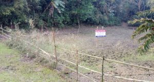 নিষেধাজ্ঞা