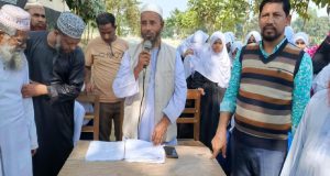 নির্বাচন