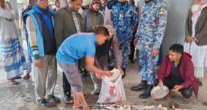 ধানের শীষ