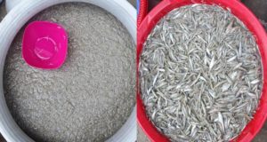 জেলা বিএনপির নিন্দা