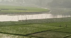 স্বাস্থ্য