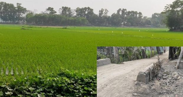 চাষাবাদে