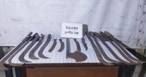 বিএনপির