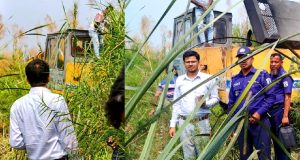 কালোজিরা