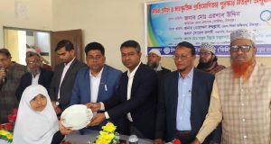 ধানের শীষ