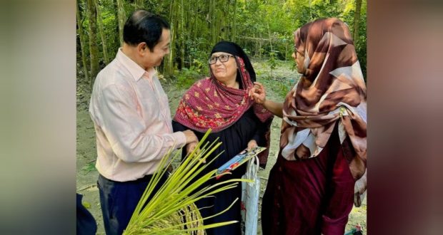 ধানের শীষে