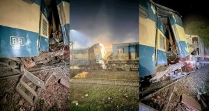 প্রজনন মৌসুমে ৪০ হাজার কোটি পোনা ছেড়েছে মা ইলিশ