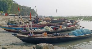 প্যাপিরাস