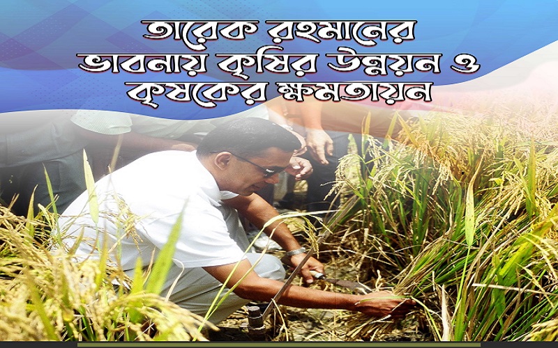 প্রধানমন্ত্রী তারেক রহমানের নেতৃত্বে কৃষি বিপ্লবের নতুন দিগন্ত প্রধানমন্ত্রী তারেক রহমানের নেতৃত্বে কৃষি বিপ্লবের নতুন দিগন্ত