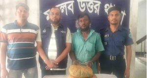 কৃষকের দেখভালে, চাষি কামাল হোসেন এ মৌসুমে ৫০ শতক, চাষি কামাল হোসেন এ মৌসুমে ৫০ শতক