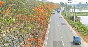 চলতি অর্থবছরে রাসায়নিক সারের চাহিদা পুননির্ধারণ