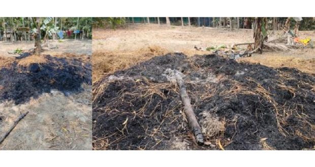 দুষ্কৃতি