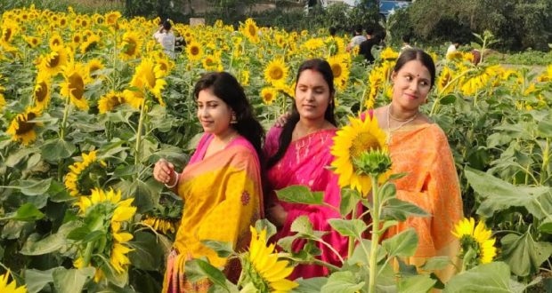 সূর্যমুখীর