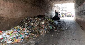 ব্র্যান্ডিংয়ে পদকপ্রাপ্তির কৃতিত্ব চাঁদপুরবাসীর : জেলা প্রশাসক