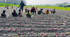 আওয়ামী লীগের বর্ধিত সভা