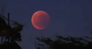 চাঁদপুরে করোনায়