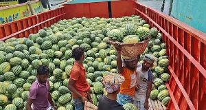 গণঅধিকার