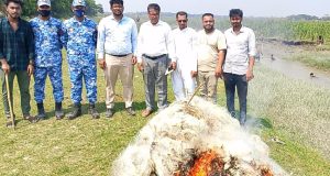 নয়ানী সপ্রাবিতে ক্রীড়া প্রতিযোগিতার পুরস্কার বিতরণ