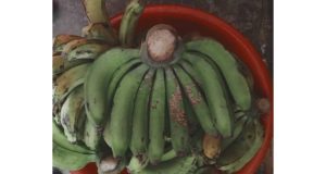 হাসপাতালে