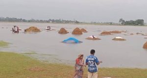 মামুনুল হককে গ্রেপ্তার না করলে সোমবারে হরতাল