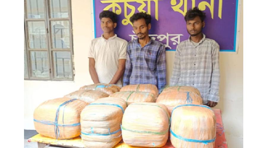 র‍্যাবের অভিযানে কচুয়ায় বিপুল পরিমাণ গাঁজা উদ্ধার, গ্রেপ্তার ৩