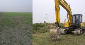 চাঁদপুর হাইমচরের সাংসদ, চাঁদপুর হাইমচরের সাংসদ