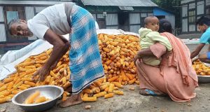 মতলব উত্তরে ফুটবল টুর্নামেন্টে চরকালিয়া সেমিফাইনালে