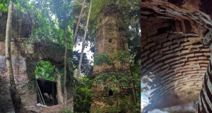 নিজের হৃৎপিণ্ড ব্যাগে নিয়ে ঘোরেন যে নারী