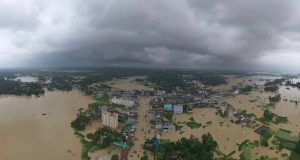 'পেঁয়াজ এখন পাগলা ঘোড়া পাগলা পেঁয়াজ খেপেছে'