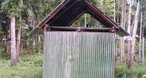 গণসংযোগ