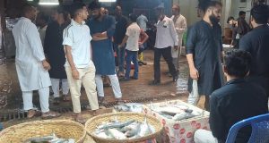 মডার্ণ