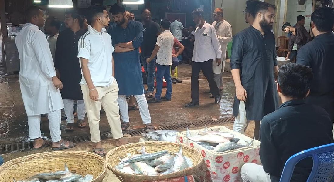 চাঁদপুরে এক সপ্তাহ পরও বাড়েনি ইলিশের সরবরাহ, দামে হতাশ ক্রেতারা