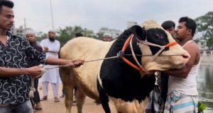 আরসি কোলা কারখানার উৎপাদন বন্ধের নির্দেশ