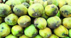 শিক্ষক