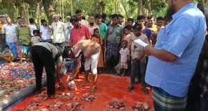কোরআন এ হাফেজ