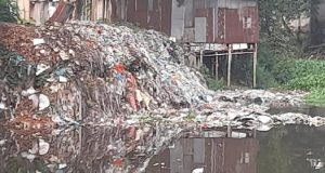 কচুয়ায় পাষণ্ড জামাতার হাতে খুন হলো শাশুড়ি, জামাতাকে গণধোলাই