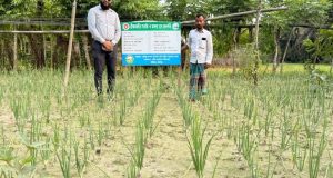 হাইমচরে জেএসসি-জেডিসি পরীক্ষা : অনুপস্থিত ৪১