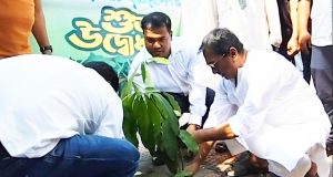 করোনা, করোনা