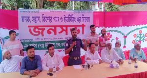 পরিবেশক
