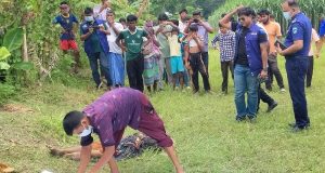 উপজেলা