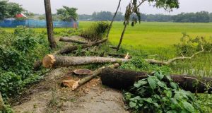সাংবাদিক