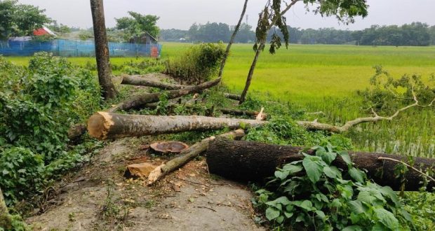 সম্পত্তি